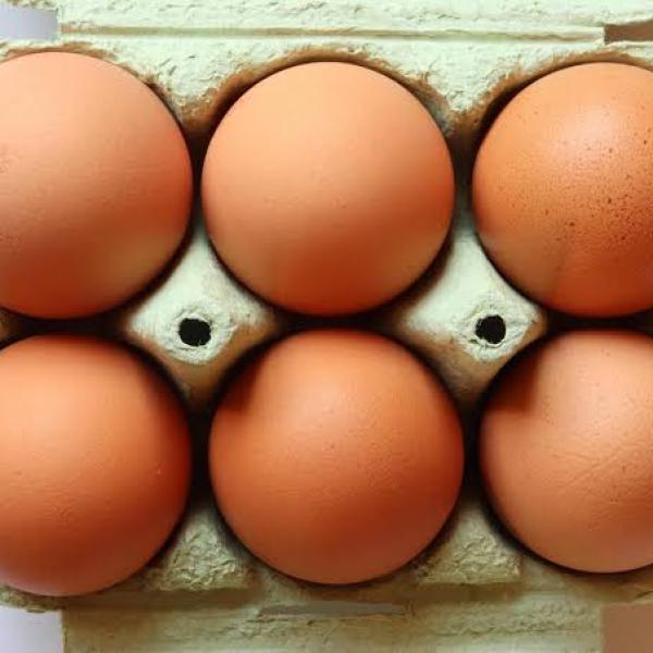 Free-range eggs large x 6